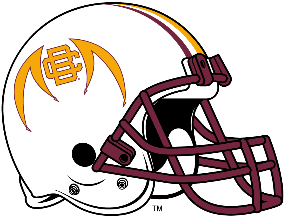 Bethune-Cookman Wildcats 2010-2015 Helmet Logo vinyl decal